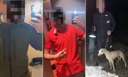 Judge Who Spared Teenage Traveller Rapists Also Lenient in Other Cases