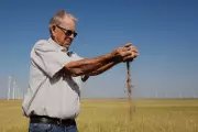 Kansas Wheat Crop Faces Worst Season Since 1972 Amid Drought and Rising Costs