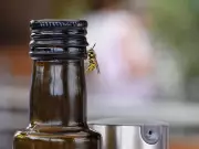 Keep Wasps Away with 2-Ingredient Homemade Solution They Hate