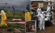 Kenyan Court Blocks US Ebola Facility Plans Amid Legal Challenges