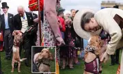 King Charles and Queen Camilla's Garden Party Stolen by Adorable Hearing Dog Vegas
