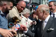 King Charles Gets Unexpected Seagull Souvenir During Northern Ireland Visit