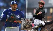 LA Dodgers Star Edwin Diaz and Top Jockeys Tied to Illegal Cockfighting Ring in Puerto Rico