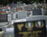 Labor Budget Reforms Spark Death Tax Misinformation