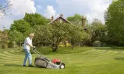 Larger Gardens Could Lead to Higher Water Bills in New Green Trial