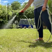 Last Chance to Prep Lawns in May for Lush Summer Growth