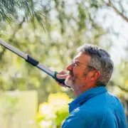 Legal Expert Explains Your Rights on Neighbour's Overhanging Trees