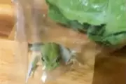 Live Frog Found in Woolworths Salad Bag Stuns Australian Farmer