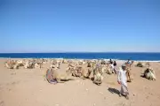 Living in 40C Heat: Expert Tips for Coping with Heatwaves