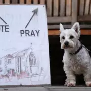 Local Elections 2026: Dogs and Unusual Polling Stations Steal the Show