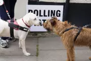 Local Elections 2026: When Will Your Council Result Be Announced?