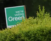 Local Elections: Beware Protest Votes, Urges Letter Writer