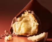 Love at First Bite: Unforgettable Chocolate Bars That Haunt Your Taste Buds