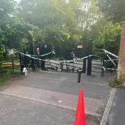 Major Search Underway at Pickmere Lake for Missing Teen Swimmer