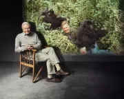 Making Life on Earth: Attenborough's Greatest Adventure Review – A Joyful Journey