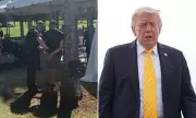 Man Detained at Trump Golf Course After Correspondents' Dinner Attack