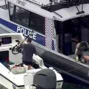 Man Killed by 4m Great White Shark While Spearfishing Near Rottnest Island