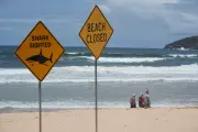 Man Killed in Shark Attack Off Western Australia Coast