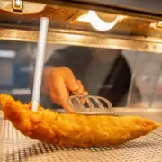 Man's Fish and Chip Shop Meal Price Leaves Viewers Stunned