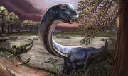 Massive Dinosaur Three Times Size of London Bus Discovered in Thailand