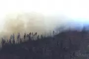 Medical Plane Crash in New Mexico Kills 4, Sparks Wildfire