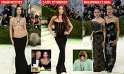 Met Gala 2026: Fans Slam 'Dystopian' Billionaire Parade as 'Worst Ever'
