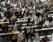 Minority Communities Brace for Racism Surge After Reform UK Election Wins
