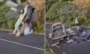 Miracle Escape as Brake Failure Sends Truck Over Cliff