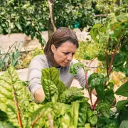 Monty Don's 4-Word Rule Helped Me Banish Garden Weeds Effectively