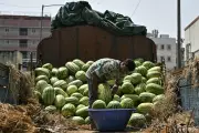 Mumbai Family of Four Dies After Eating Watermelon; Sales Crash