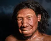 Neanderthal Tooth Shows 59,000-Year-Old Dental Drilling