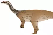 New Dinosaur Species Found in China Bridges Evolutionary Gap