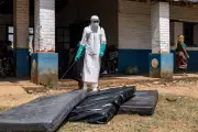 New Ebola Strain Vaccine Could Be Ready in Months, Oxford Scientists Say