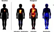 New Hangover Body Maps Reveal Where Alcohol Hits Hardest