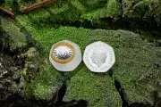 New Lord of the Rings 50p Coin Marks 25 Years Since Film Release