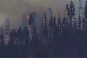 New Mexico Wildfire from Medical Plane Crash Spreads Rapidly