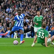 Newcastle vs Brighton: Premier League Match Preview and Viewing Guide