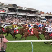 Newsboy's Horse Racing Selections: Ayr Nap and Wolverhampton Double