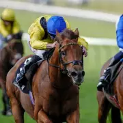 Newsboy's ITV Selections: Morshdi and Fallen Angel Lead York Tips