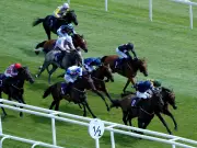 Newsboy's Monday Racing Tips: Naval Tribute Nap at Newbury, A Lott Of Kane NB