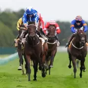 Newsboy's Saturday Racing Tips: Coppull to Shine at Haydock