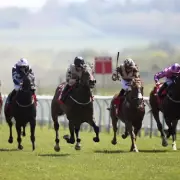 Newsboy's Tuesday Tips: Bayraat Nap at Redcar, Alice De Clare at Leicester