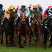 Newsboy's Wednesday Racing Tips: Wedgewood Nap at Bath, Cobbler's Boy at Newton Abbot