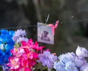 NT Inquiry After Aboriginal Child's Death 'Deeply Alarming'