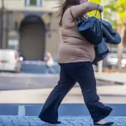 Obesity Rates in High-Income Countries May Be Leveling Off, Study Finds