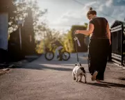 Obesity Rates Leveling Off in Some Countries, Study Finds