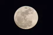 Once in a Blue Moon: Stargazing Highlights for May 2026