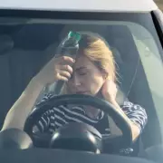 One Button to Cool Your Car Faster in a Heatwave