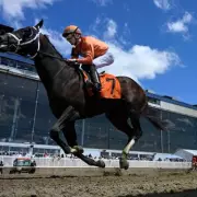 Owner's Dream Day Ends in Tragedy as Horse Collapses and Dies After Debut