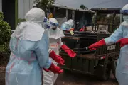 Oxford Scientists Race to Develop New Ebola Strain Vaccine Within Months
